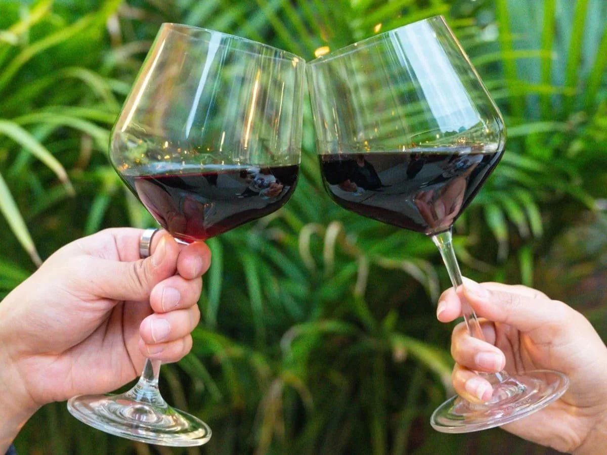 Two hands clinking glasses of red wine in front of green foliage