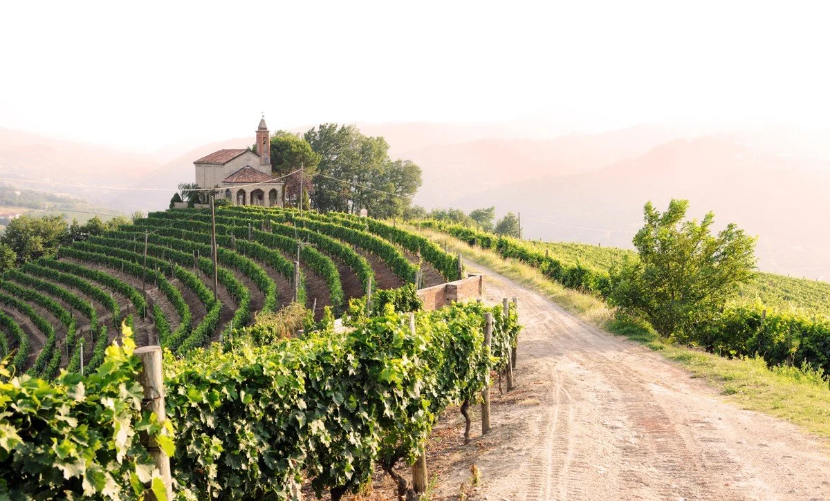 Dirt road through a vineyard with a small chapel and rolling hills in the background