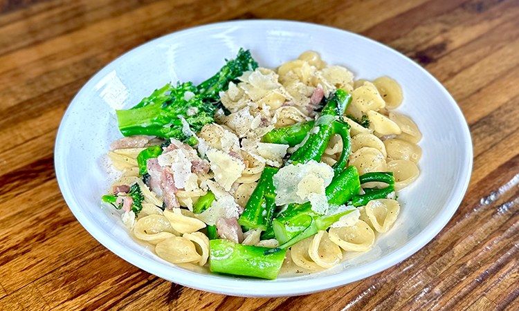 Small plate of cup-shaped orecchiette pasta with broccoli florets and sausage in a light sauce